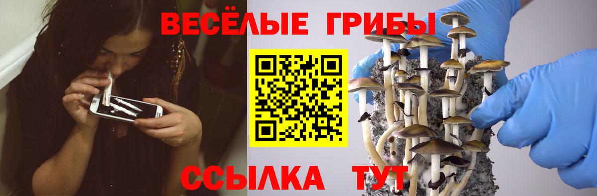 Галлюциногенные грибы прущие грибы  Галлюциногенные грибы Magic Shrooms  Когалым  Вход с VPN 